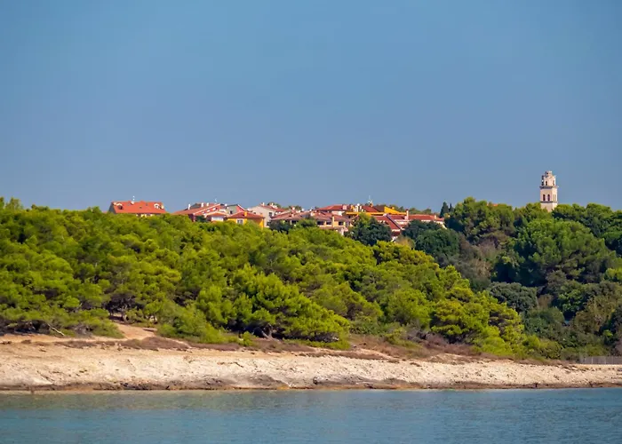 Apartman In - Istrien 51817 *